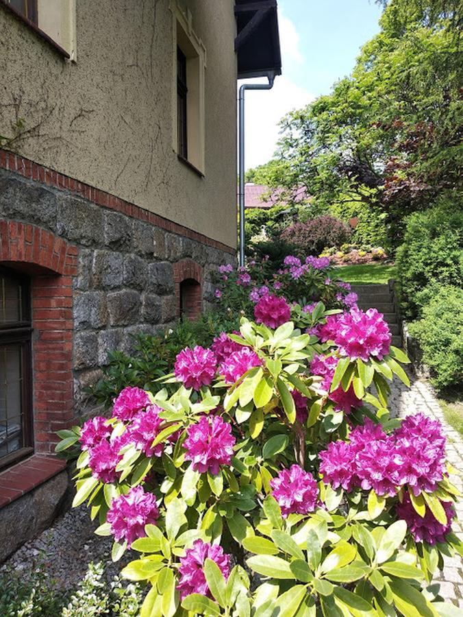 Apartamenty Villa Akant Piechowice  Exterior foto